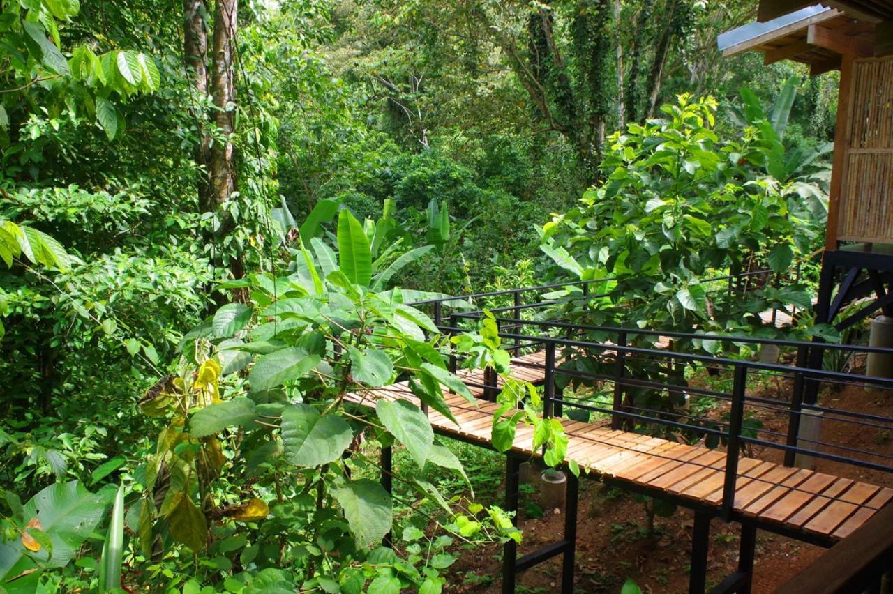 Вилла La Shamana - Ecological Concept In Jungle Кауита Экстерьер фото