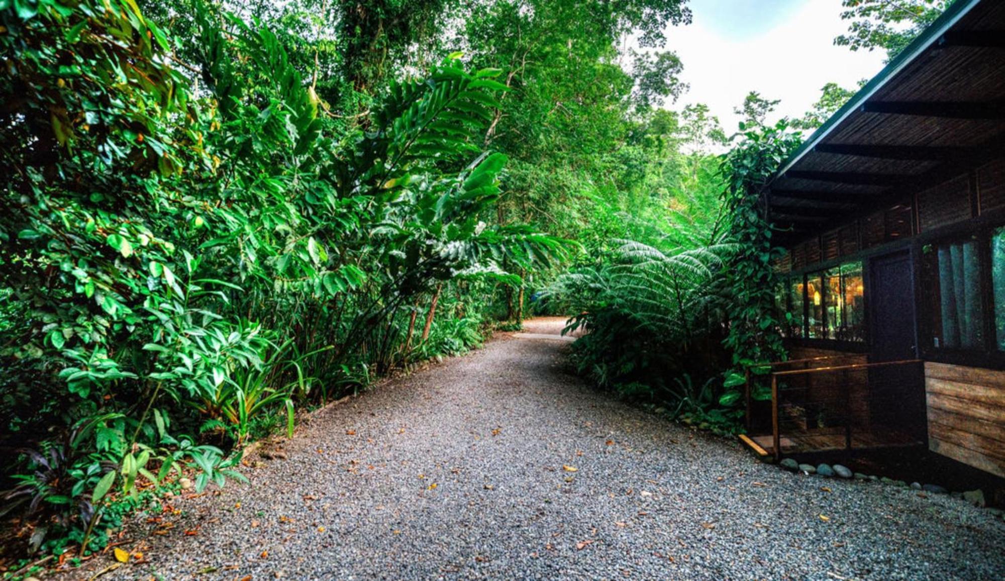 Вилла La Shamana - Ecological Concept In Jungle Кауита Экстерьер фото