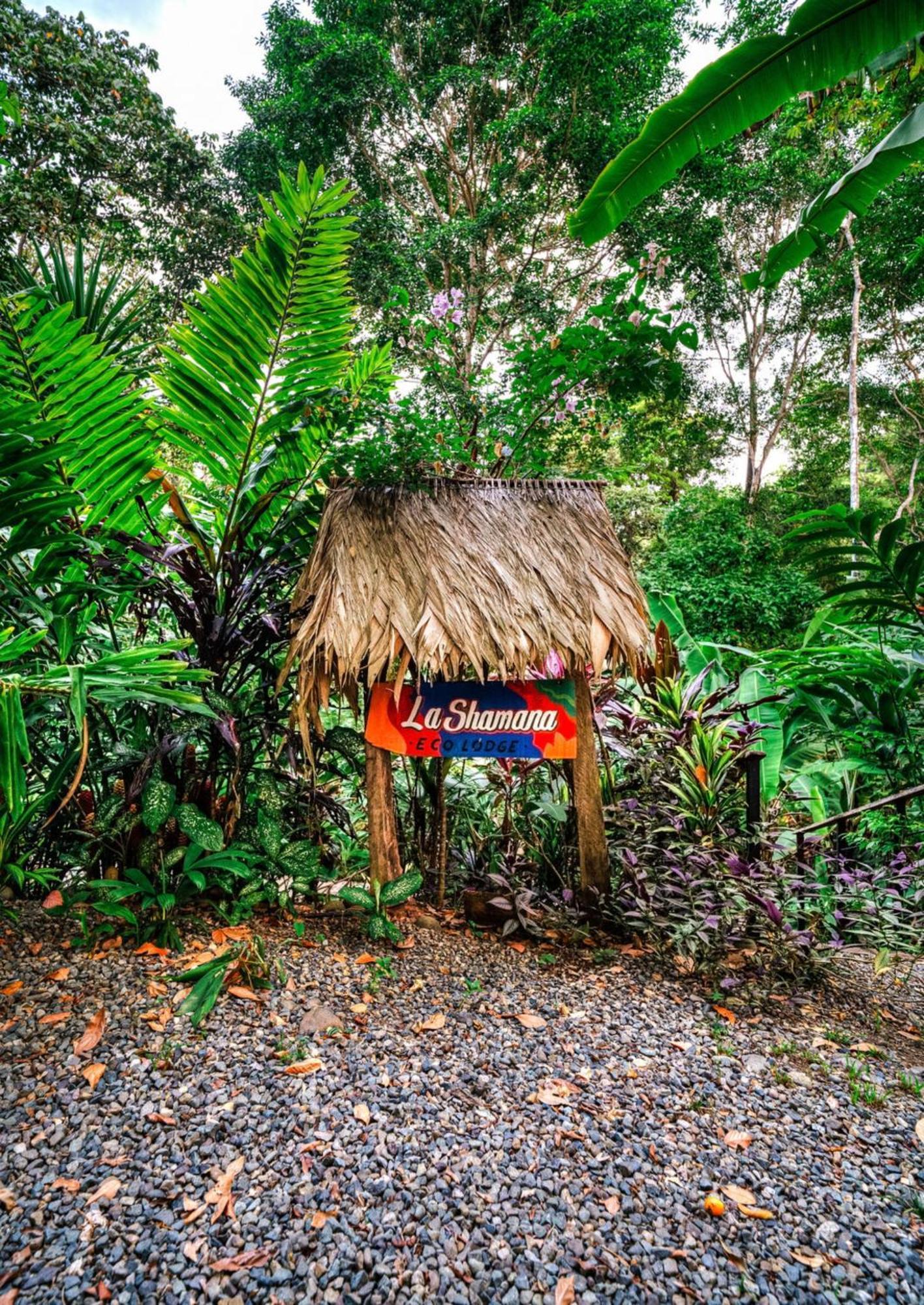 Вилла La Shamana - Ecological Concept In Jungle Кауита Экстерьер фото