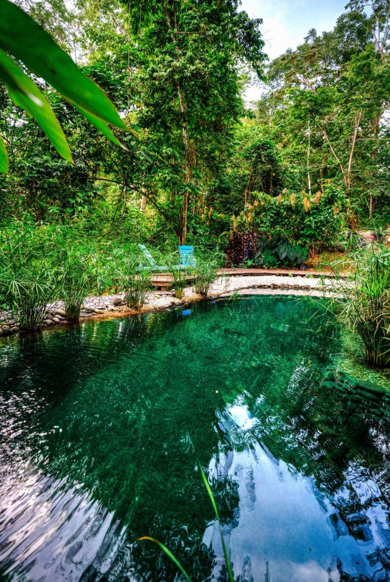 Вилла La Shamana - Ecological Concept In Jungle Кауита Экстерьер фото