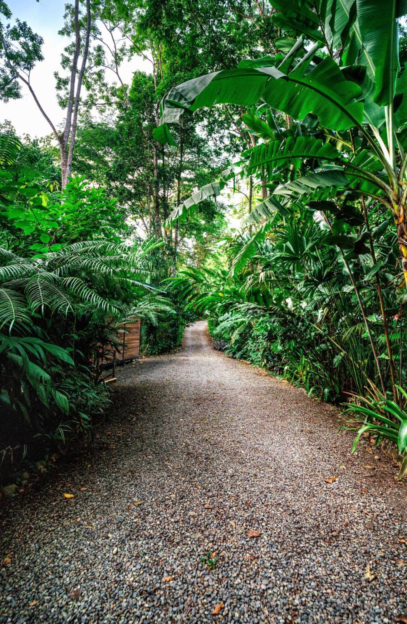 Вилла La Shamana - Ecological Concept In Jungle Кауита Экстерьер фото