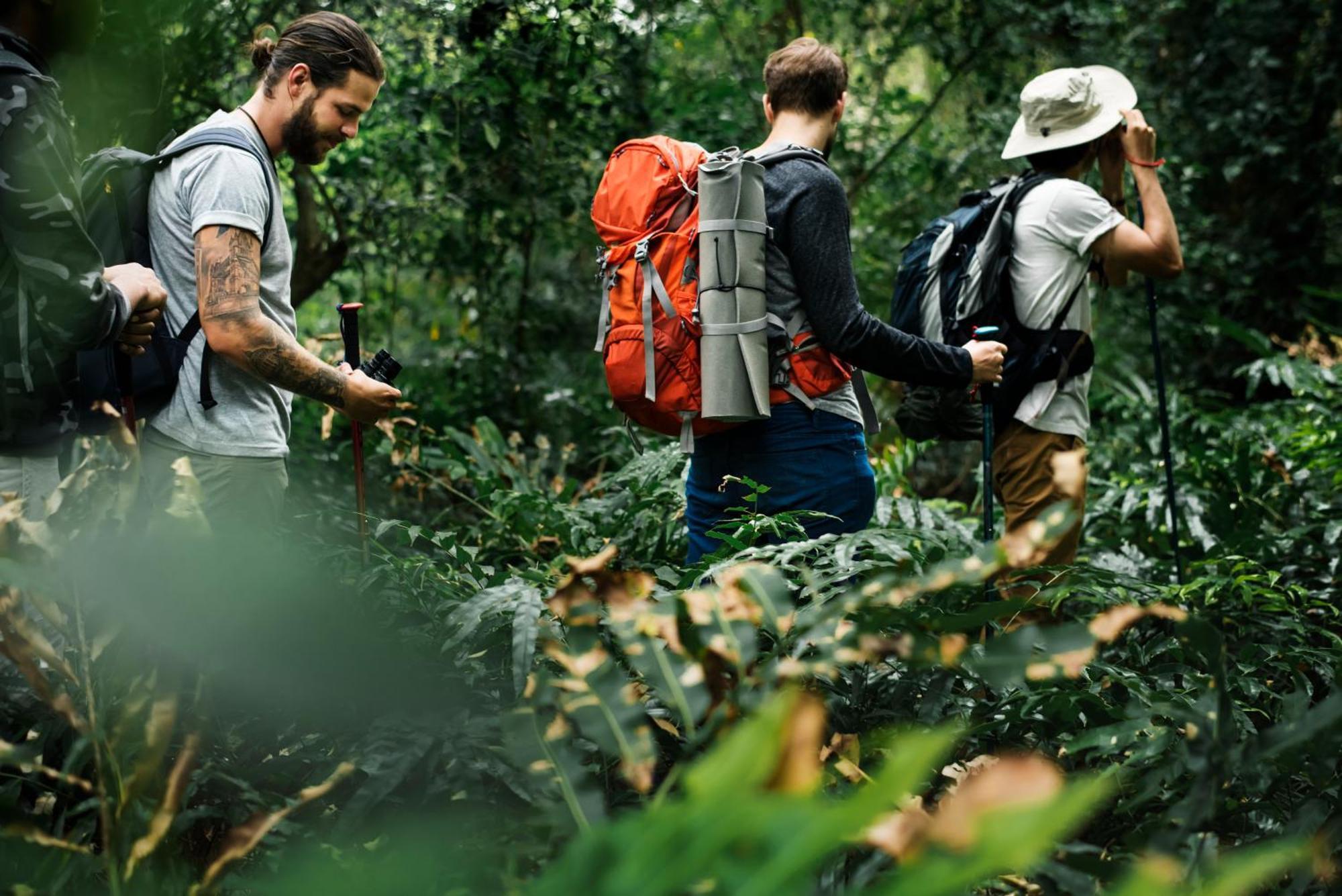 Вилла La Shamana - Ecological Concept In Jungle Кауита Экстерьер фото
